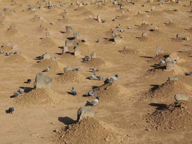 جدید ترین تصاویر مدینه - بقیع 1392